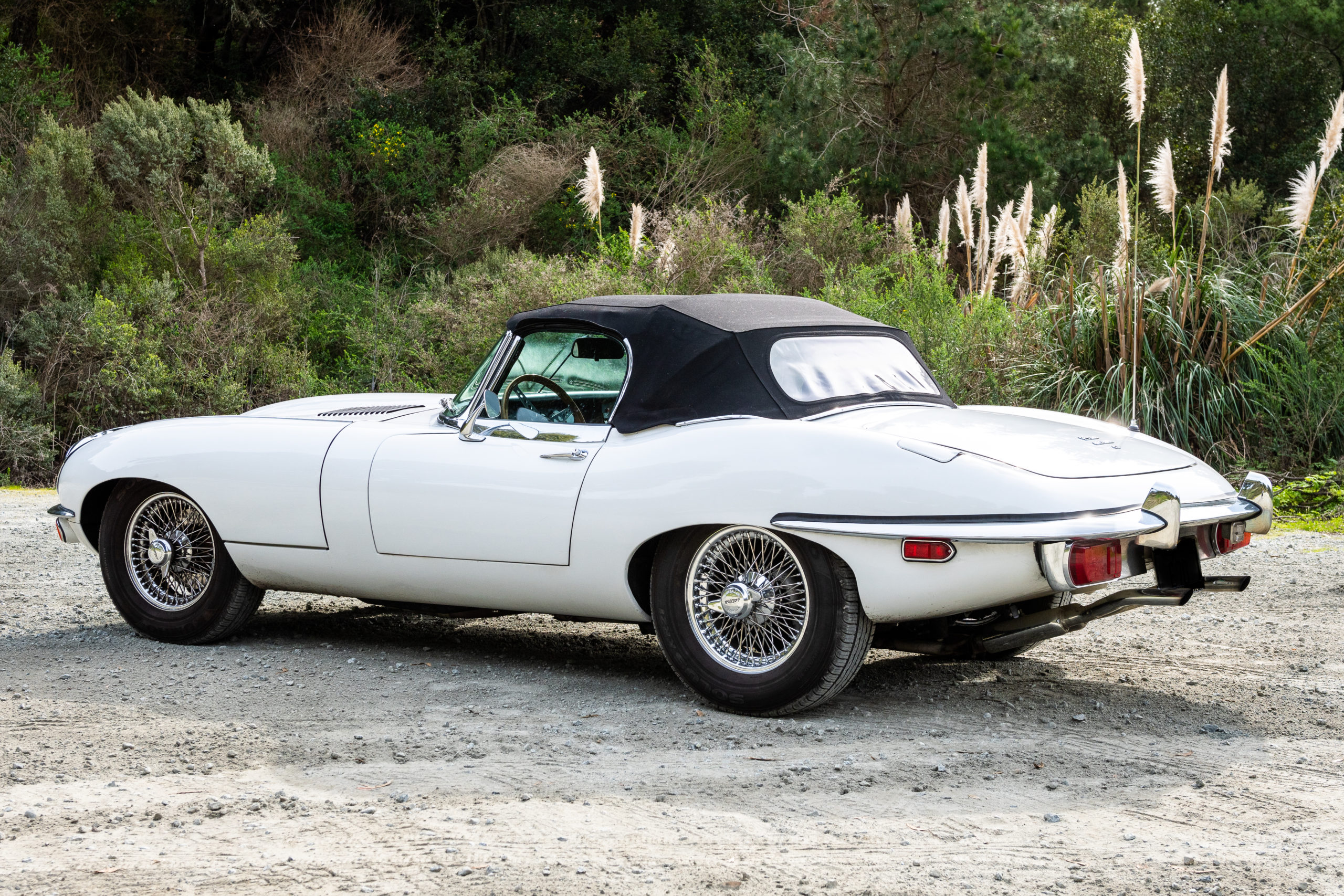 Corvette, Aston Martin, Ferrari and Jaguar E Type at Goodwood